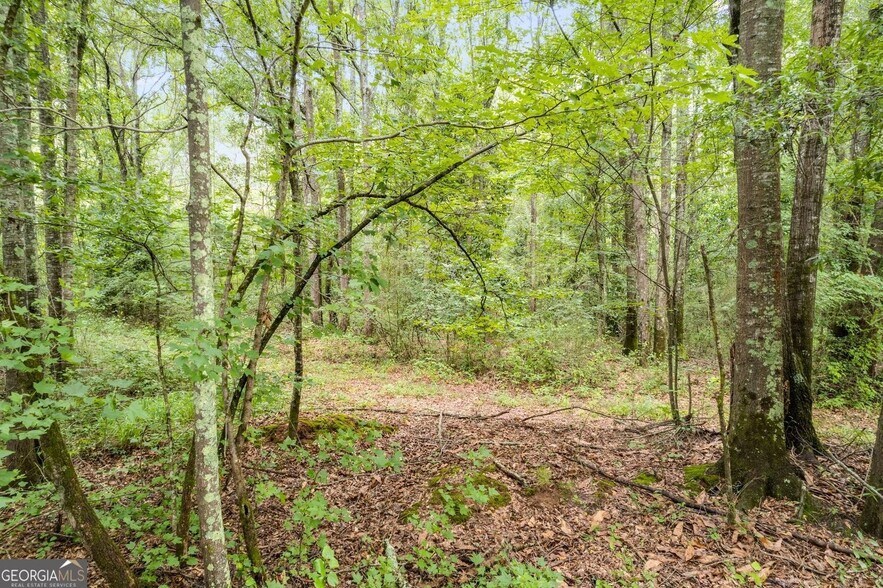 More Photos Of 104 Martin Cemetery Rd, Carrollton Land For Sale