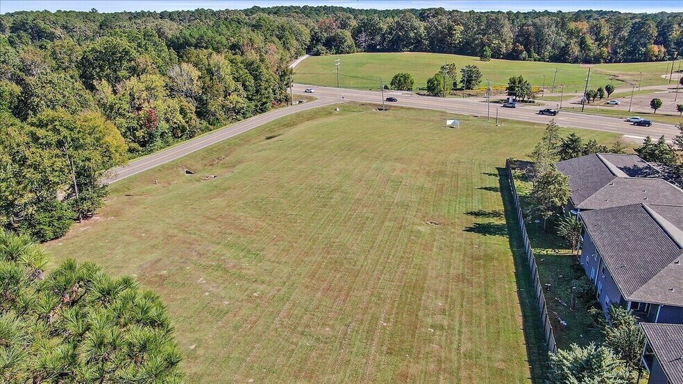 More Photos Of 1449 Old Fannin, Brandon Land For Sale