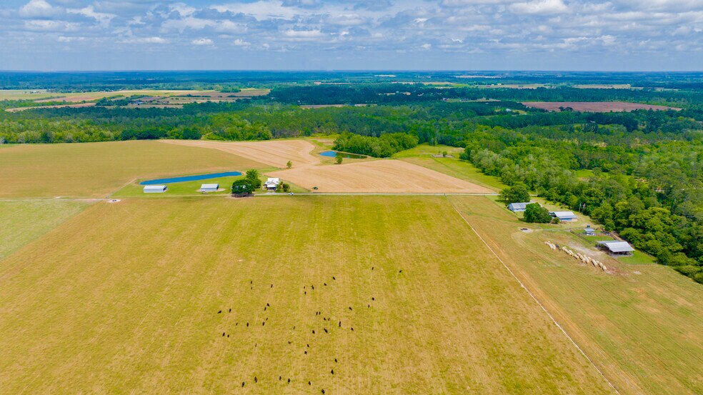 More Photos Of 24795 Hwy 32, Elberta Land For Sale