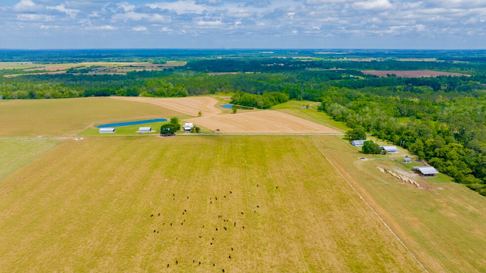 More Photos Of 24795A Hwy 32, Elberta Land For Sale
