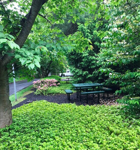 More Photos Of 301 S Main St, Doylestown Medical For Lease