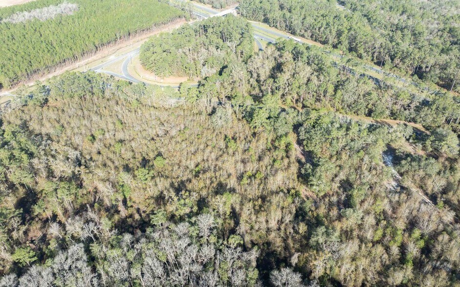 More Photos Of TBD CR 137 & I-10, Wellborn Land For Sale