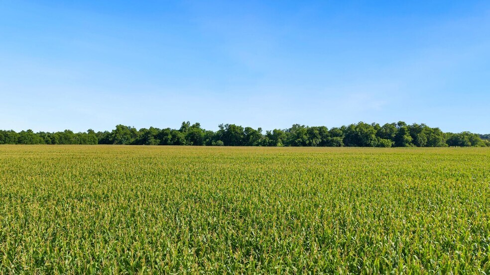 More Photos Of 4669 FM 973, Taylor Land For Sale