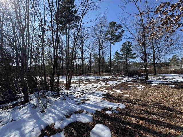 More Photos Of 13513 Otter Creek Pky, Little Rock Land For Sale