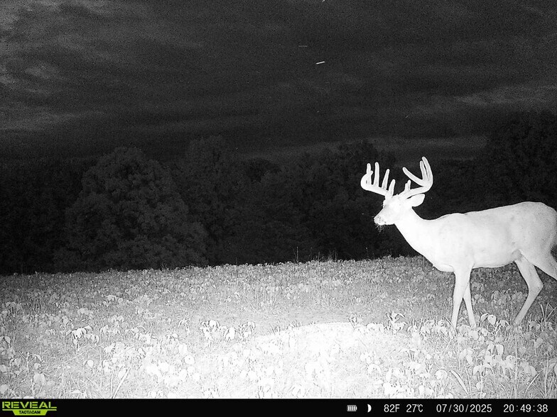 More Photos Of Highway D (77.2+/- Acres) Tract 1, Eolia Land For Sale