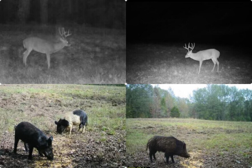 More Photos Of 00 Hwy 69/CR 484 hwy, Mineola Land For Sale