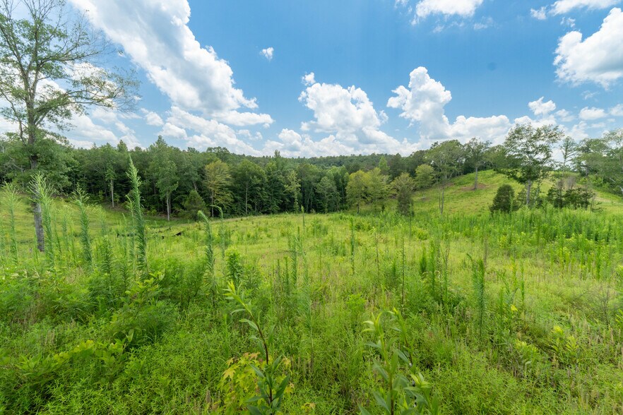 More Photos Of 1310 County Road 269, Wedowee Land For Sale