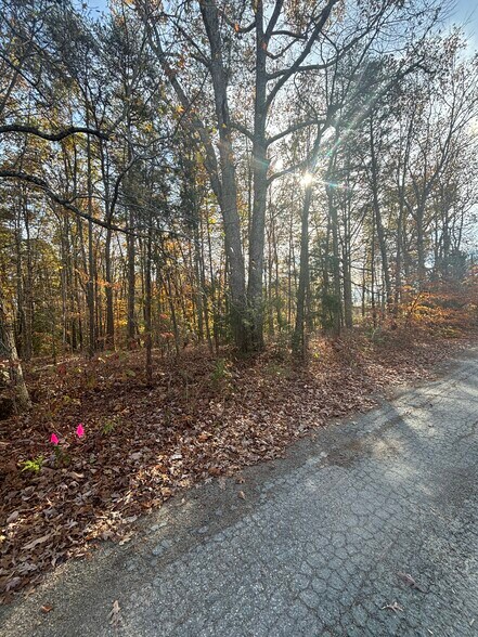 More Photos Of 3207 Broad st, Gum Spring Land For Sale