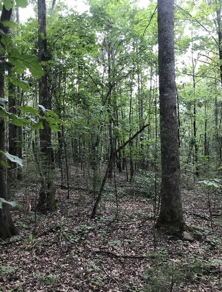 More Photos Of 103 Bailey Jester Rd, Griffin Land For Sale