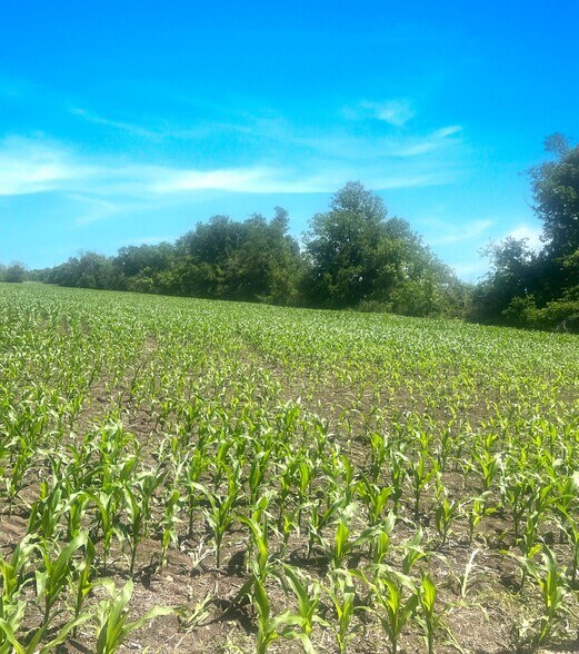 More Photos Of State Highway 53 & Little Flock Road, Temple Land For Sale