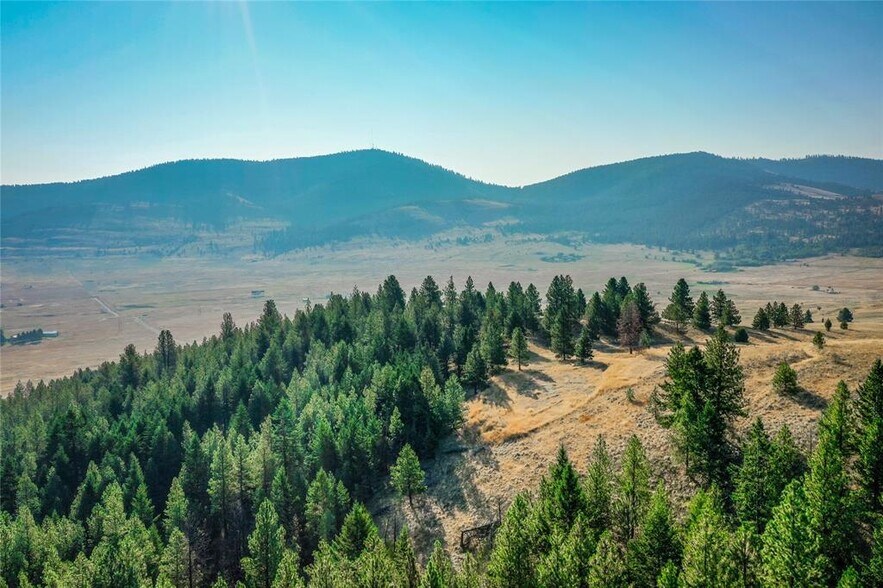 More Photos Of 29011 Walking Horse Ln, Big Arm Land For Sale