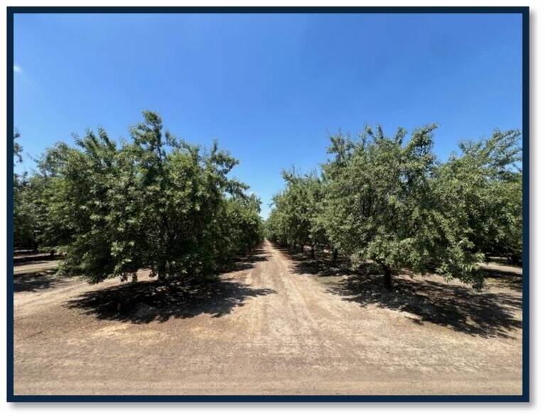 More Photos Of Avenue 192, Strathmore Land For Sale