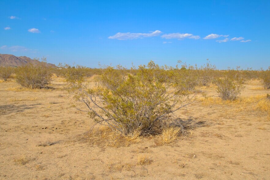 More Photos Of 1153 Belfield Blvd, Landers Land For Sale