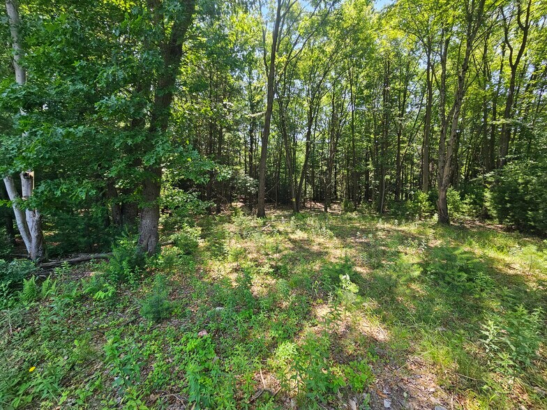 More Photos Of N. Hunter Hwy, Drums Land For Sale