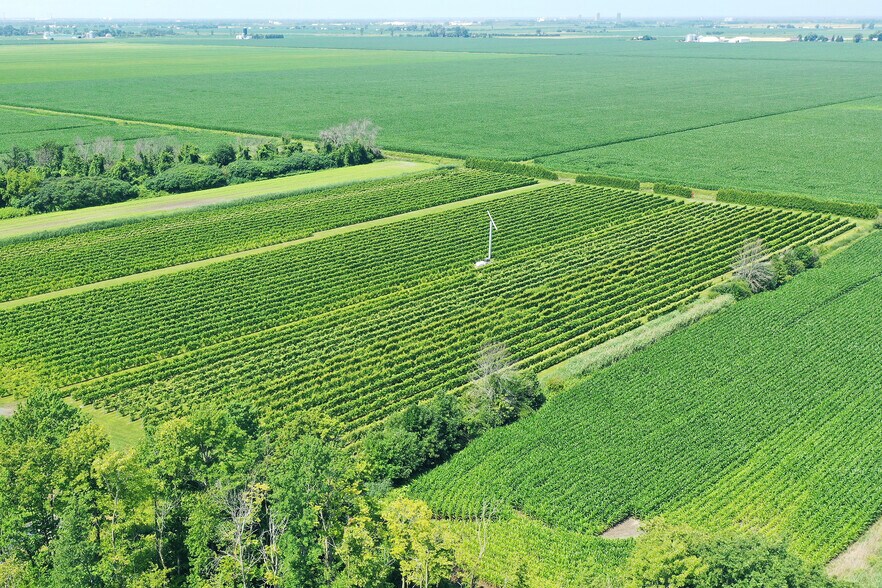 More Photos Of 4310 Chem. du Cordon, Varennes Winery Vineyard For Sale