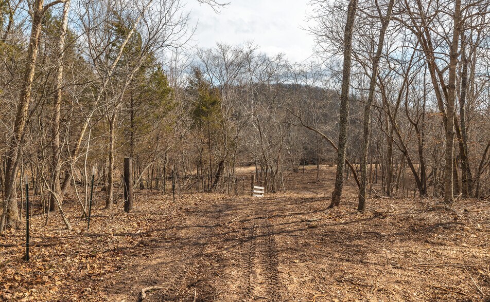 More Photos Of 3385 County Road 5615, Bunker Land For Sale