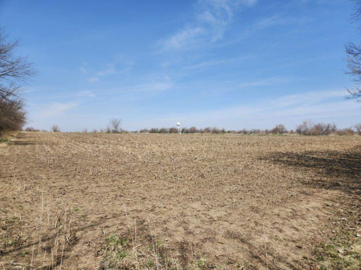 Primary Photo Of 0 Hanover, Carlock Land For Sale