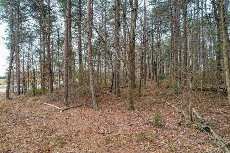 More Photos Of 9087 Hwy 58 Hwy 58, Harrison Land For Sale