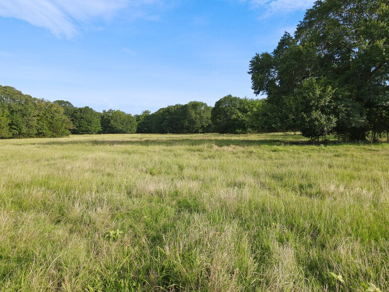 More Photos Of Intersection of FM 2029 and FM 409, Telephone Land For Sale