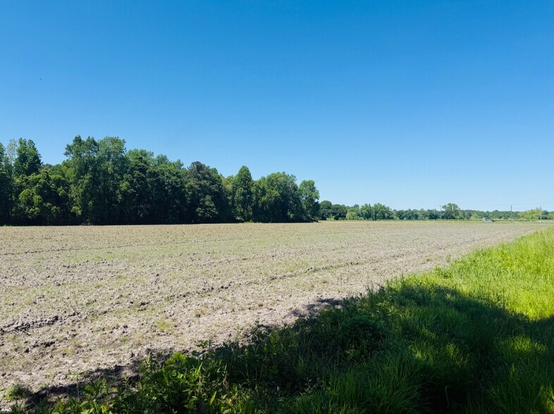 More Photos Of 0 HWY 117, Rose Hill Land For Sale