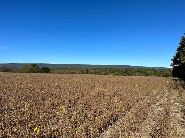 More Photos Of 1476 Flicksville Rd, Bangor Land For Sale