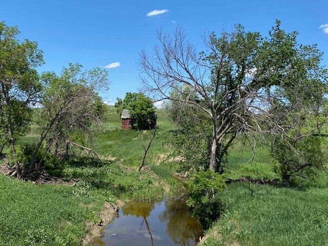 More Photos Of 29392 239th St, Vivian Land For Sale