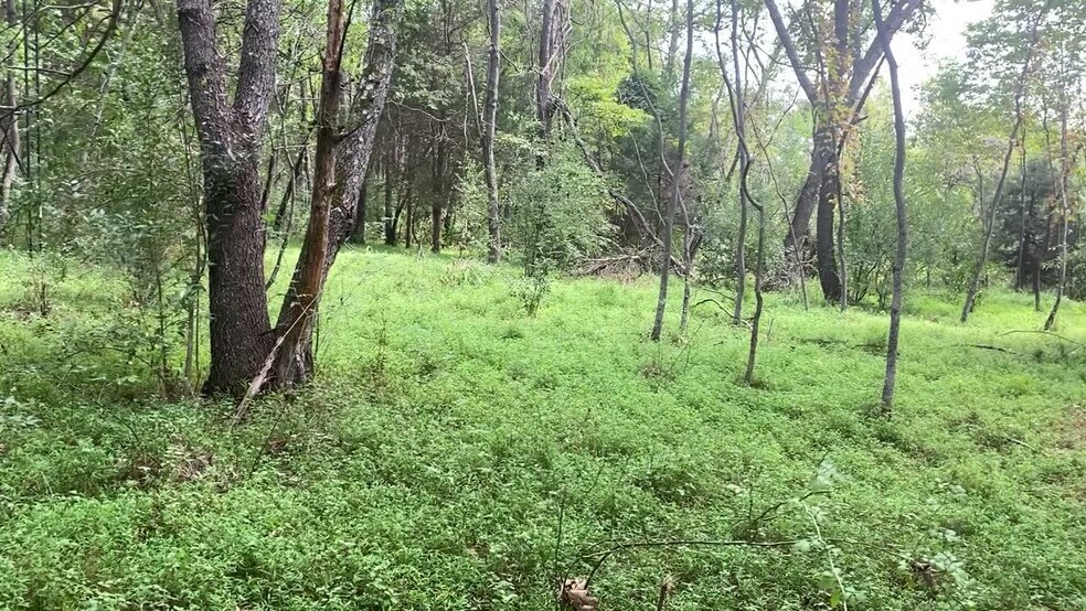 Primary Photo Of Turkey Foot Rd & Jones Ln, North Potomac Land For Sale