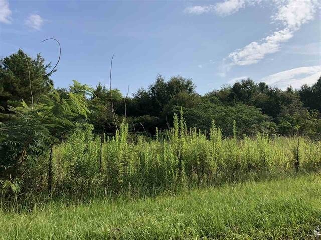 More Photos Of 614 N Main St, Atmore Land For Sale