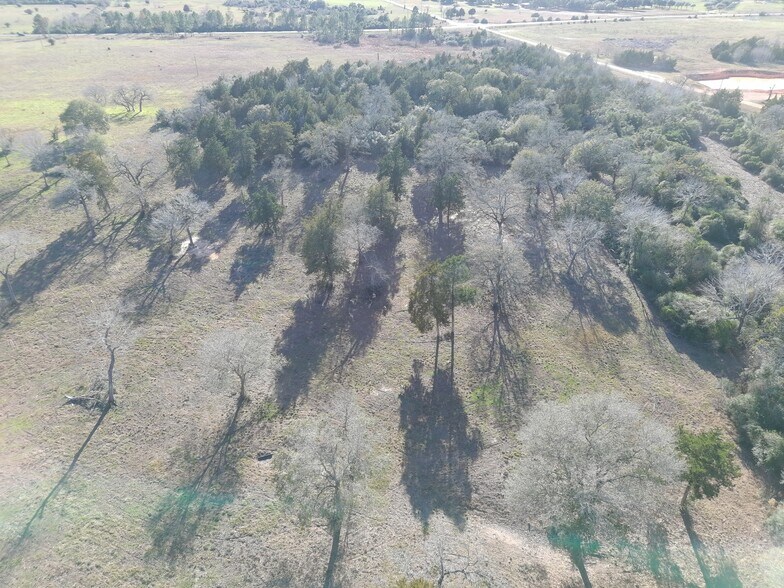 Primary Photo Of 8450 FM 1094, Sealy Land For Sale