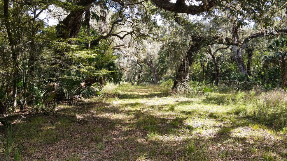 More Photos Of W C 48, Bushnell Land For Sale