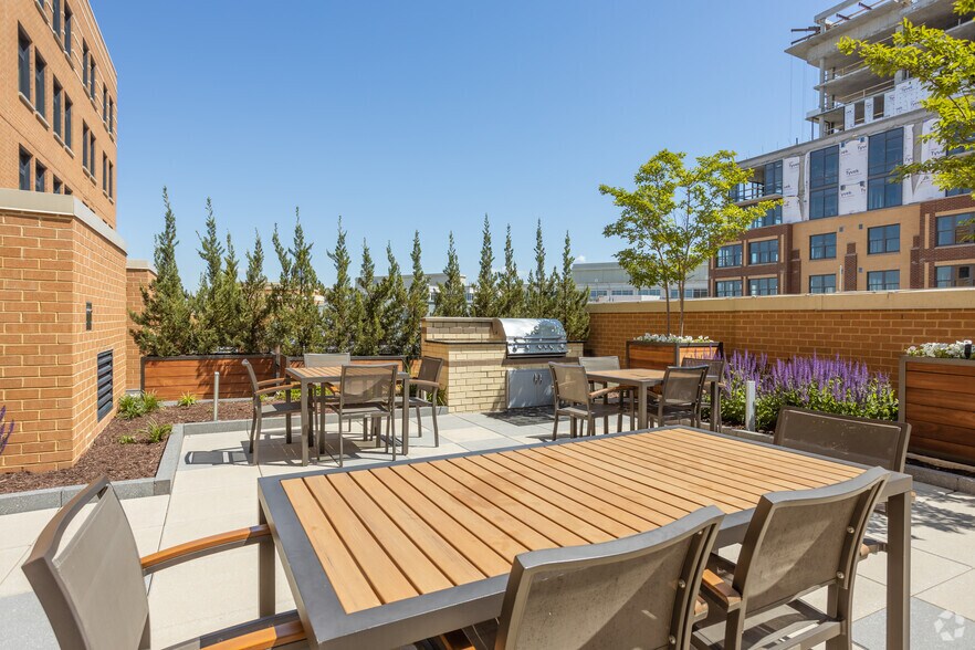 More Photos Of 44 Maryland Ave, Rockville Apartments For Lease