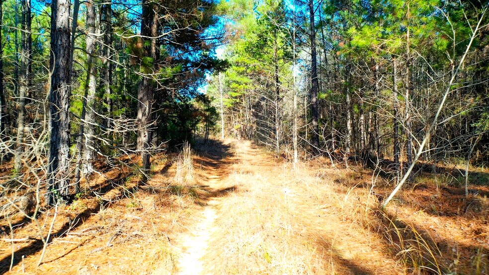 More Photos Of HWY 49 hwy, Jefferson Land For Sale