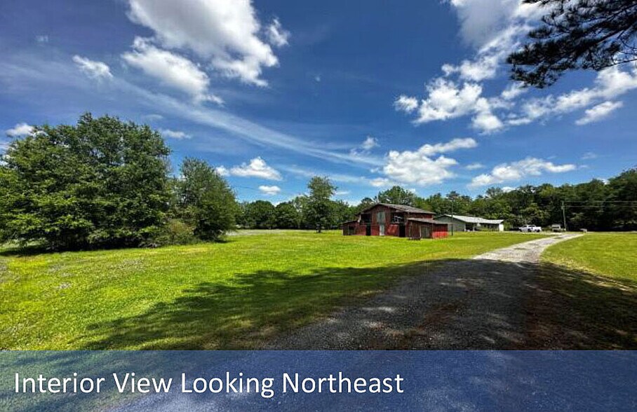 More Photos Of 2169 Pine Tree Ln, Middleburg Land For Sale