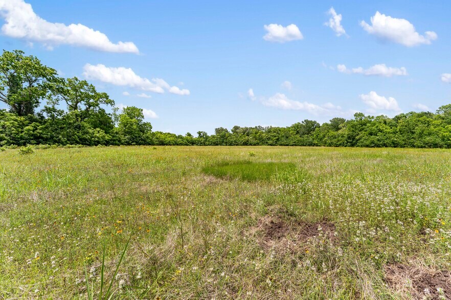 More Photos Of 10840 FM 442, Boling Land For Sale