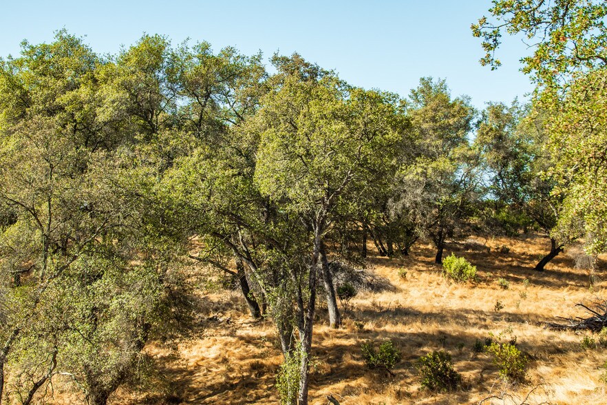 More Photos Of 4471 Buena Vista Rd, Ione Land For Sale