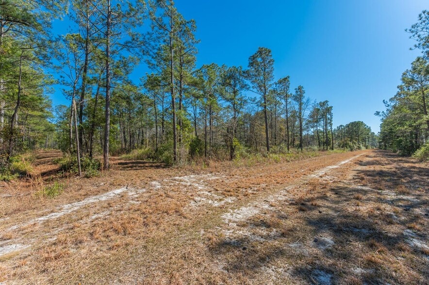 More Photos Of Hwy 331 S & Jolly Bay Road, Freeport Land For Sale