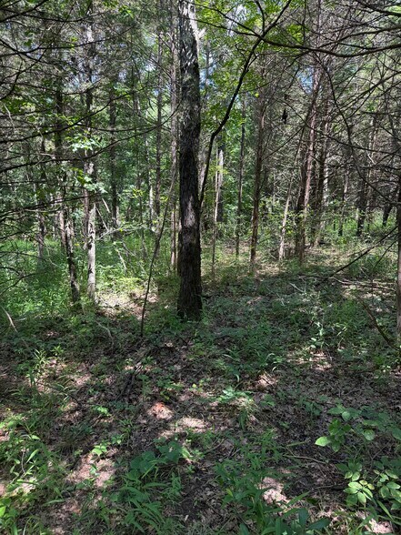 More Photos Of 20765 State Highway 42, Belle Land For Sale