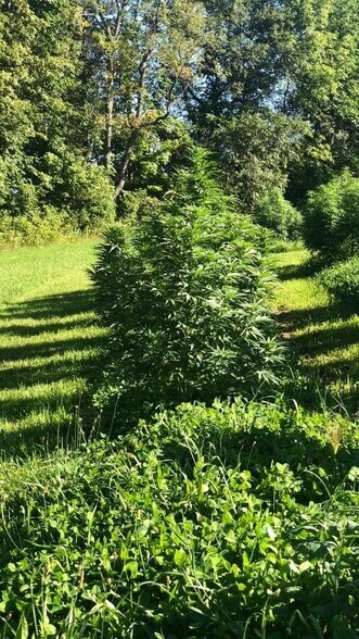 More Photos Of 149 Brindletown Rd, New Egypt Land For Lease