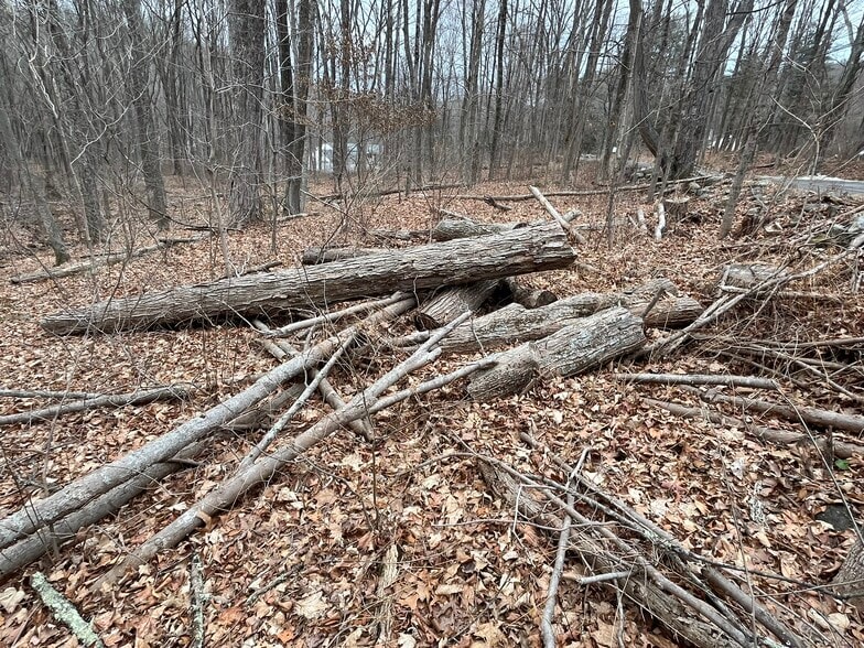 More Photos Of 439 Washington Rd, Woodbury Office For Sale