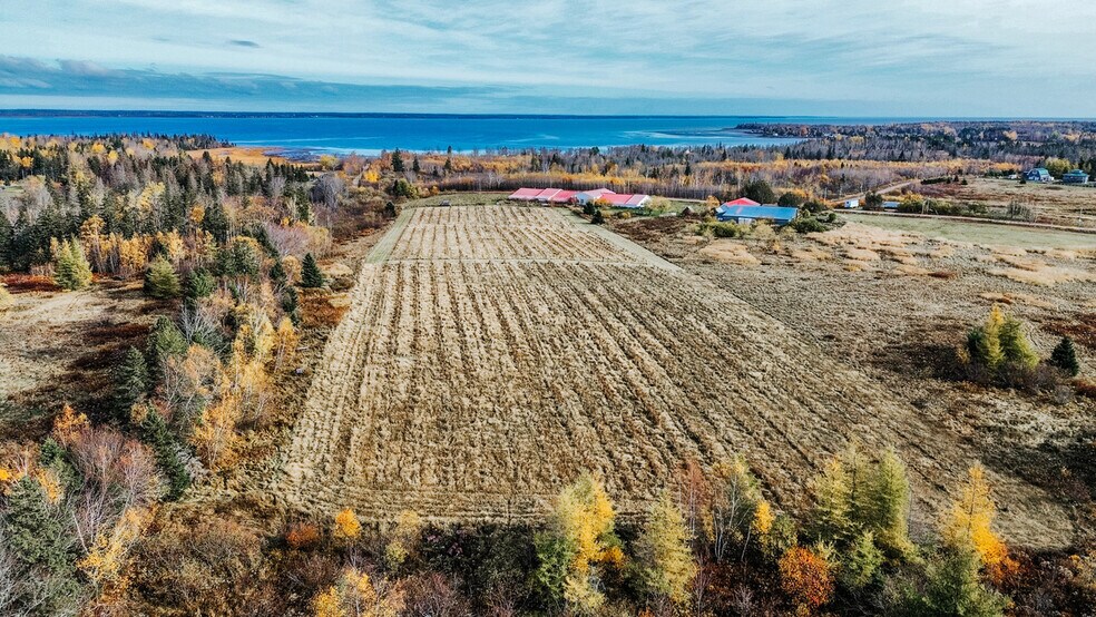 More Photos Of 851 Route 970, Baie Verte Winery Vineyard For Sale