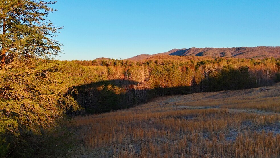 More Photos Of 142 Mace Rd, Casar Land For Sale