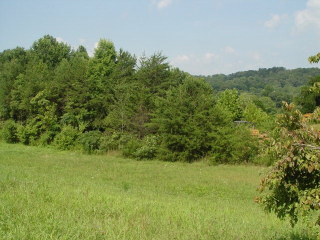 More Photos Of Bull Dog Dr, Murphy Land For Sale