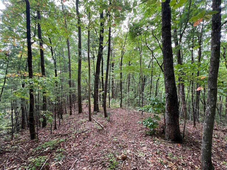 More Photos Of Whitecliff Drive, Ellijay Land For Sale