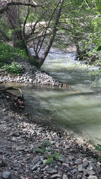 Primary Photo Of 49690 Highway 101, Laytonville Land For Sale