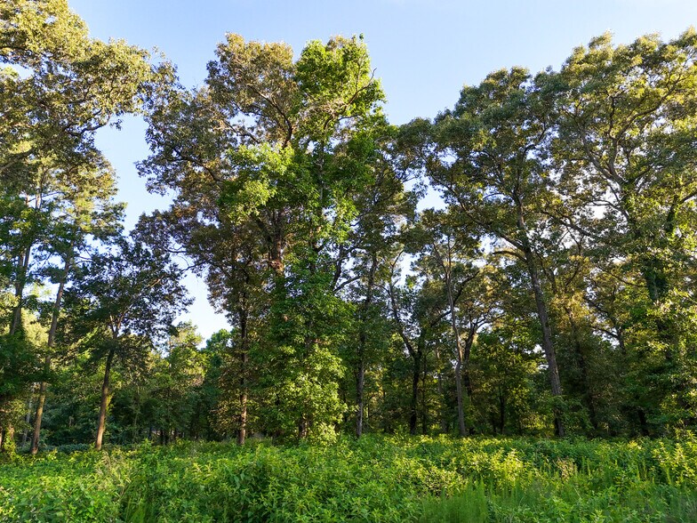 More Photos Of Mueschke Rd @ Sanders Cemetary Rd, Tomball Land For Sale