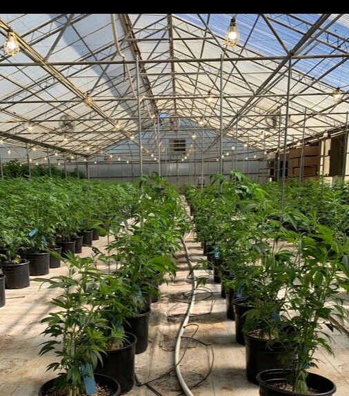 More Photos Of 26800 Encinal Rd, Salinas Manufacturing For Lease