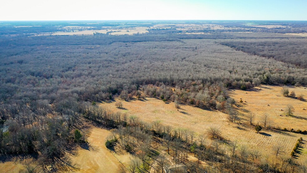 More Photos Of 1200 County 1255 rd, Detroit Land For Sale