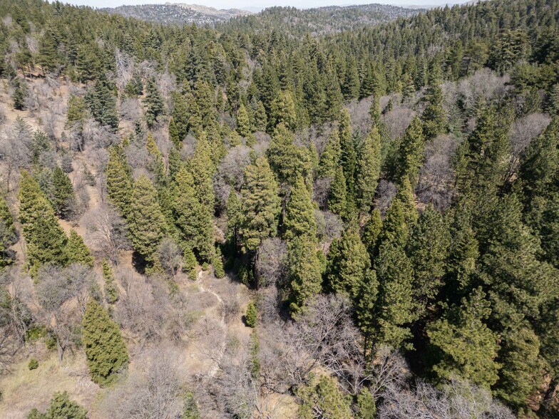 More Photos Of 26689 California 18, Rimforest Land For Sale