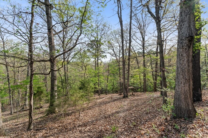 More Photos Of 3043 E Van Buren, Eureka Springs Hotel For Sale