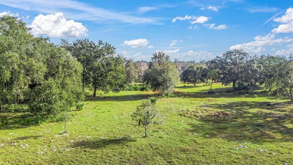 More Photos Of 0000 County Road 221, Wildwood Land For Sale